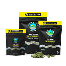 Photograph of product: LILAC DIESEL 28G FLOWER