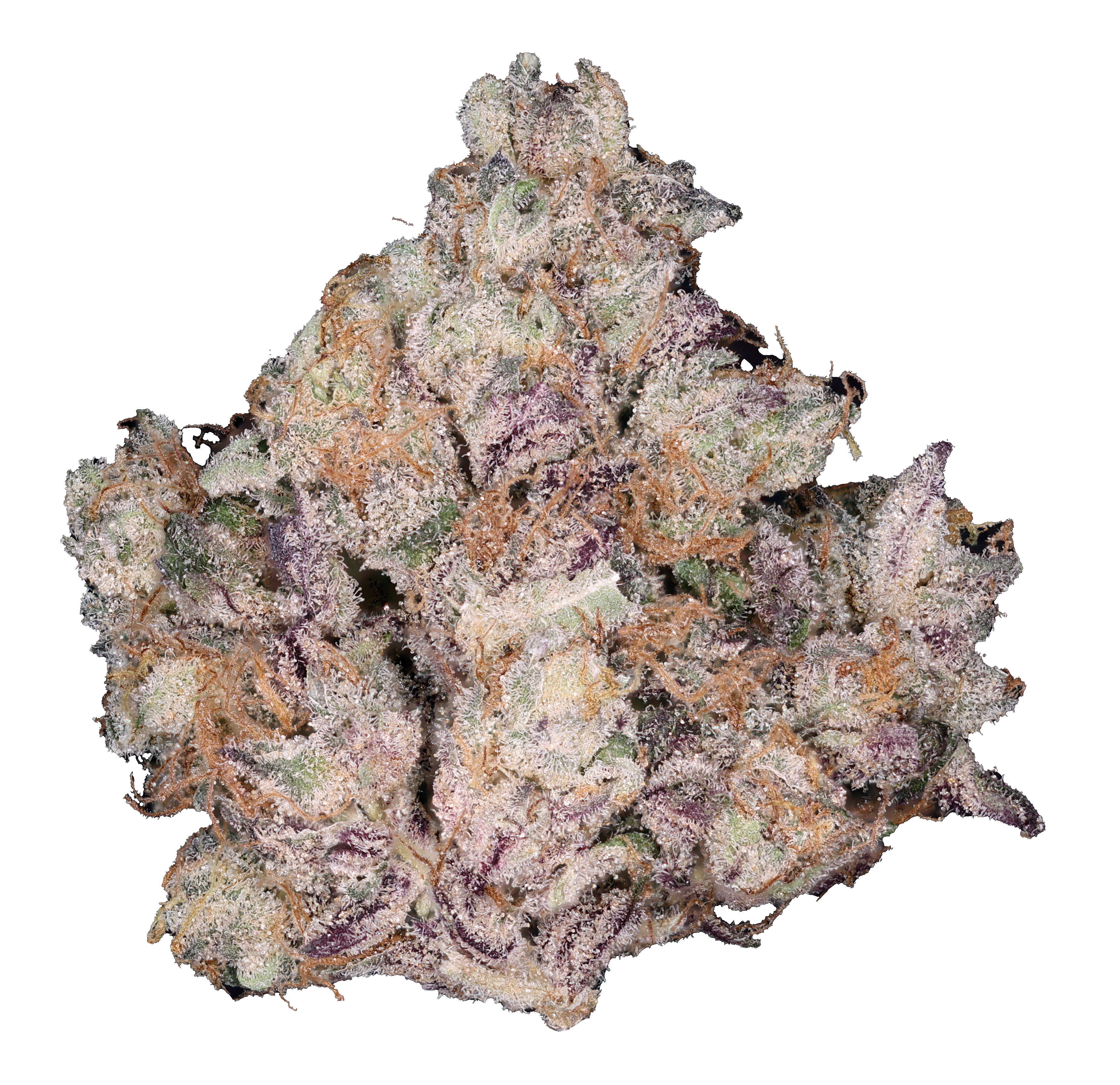 Photograph of product: Outlaw Applesauce - 14g