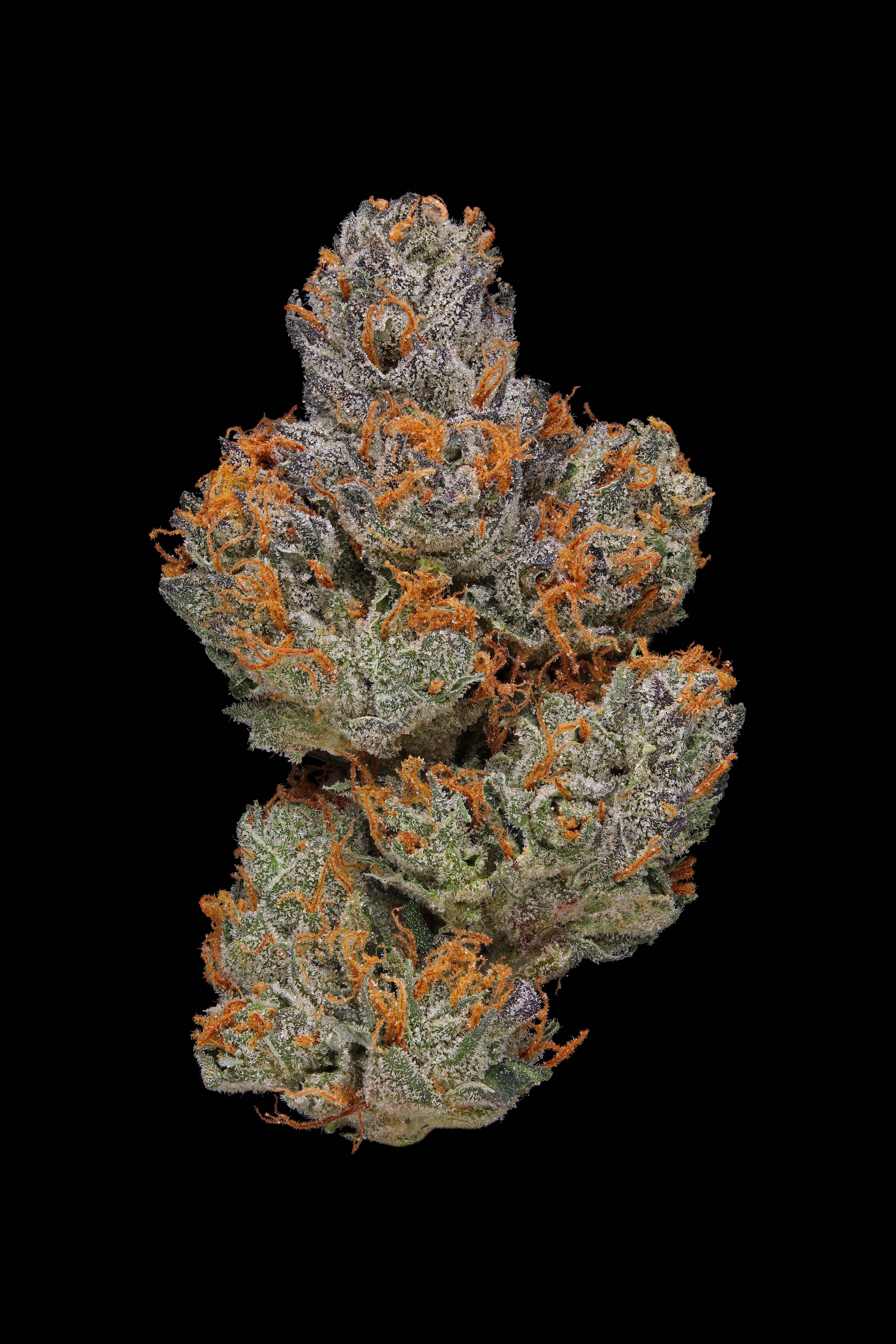 Photograph of product: Flower | LA Piff - 3.5g