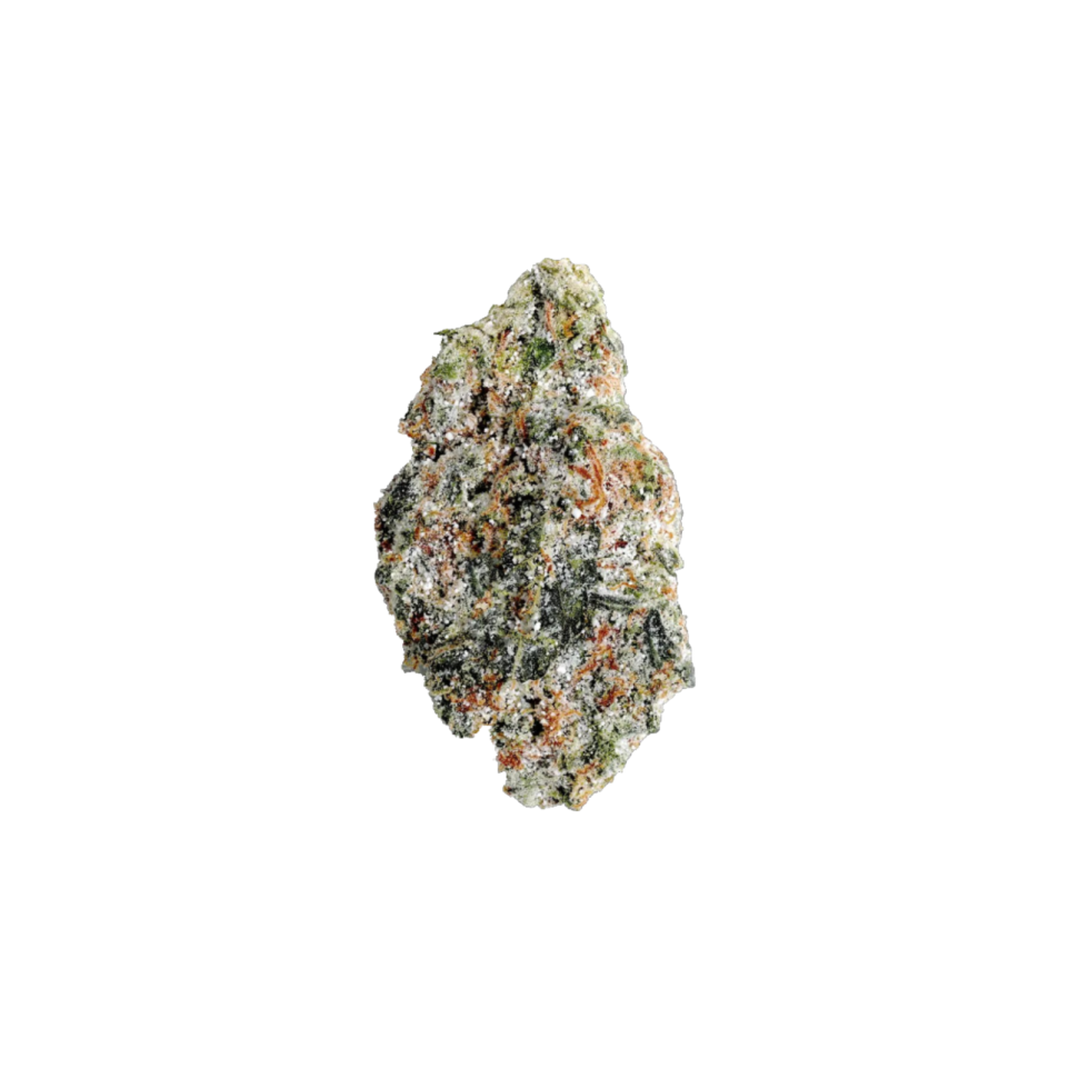 Photograph of product: United Terps of America | Orange Runtz | Oui'd | Infused Deli-Style Flower | REC - 1g