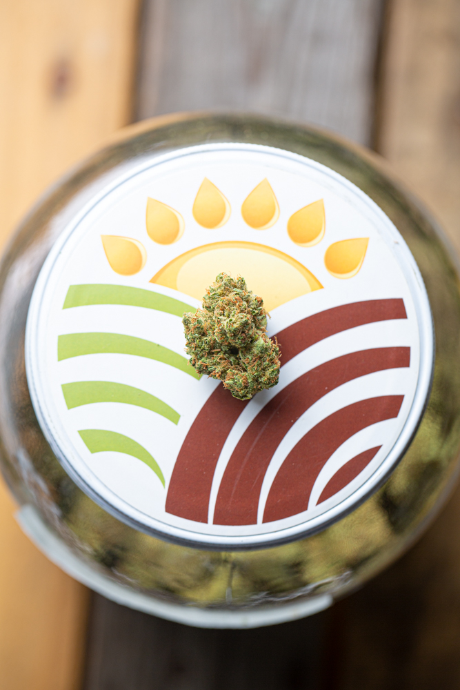 Photograph of product: Sofresh Farms Frosted Flakes - 28g