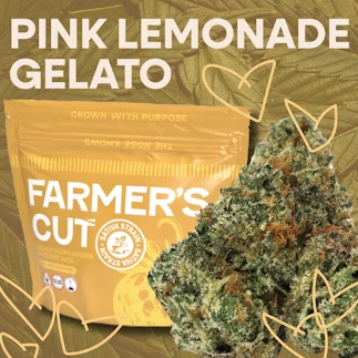 Photograph of product: Pink Lemonade Gelato | 7g