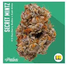Photograph of product: Secret Mints - 3.5g