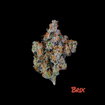 Photograph of product: Brix Oui'd Whole Flower Chem 4 (H) 00313 - 3.5g