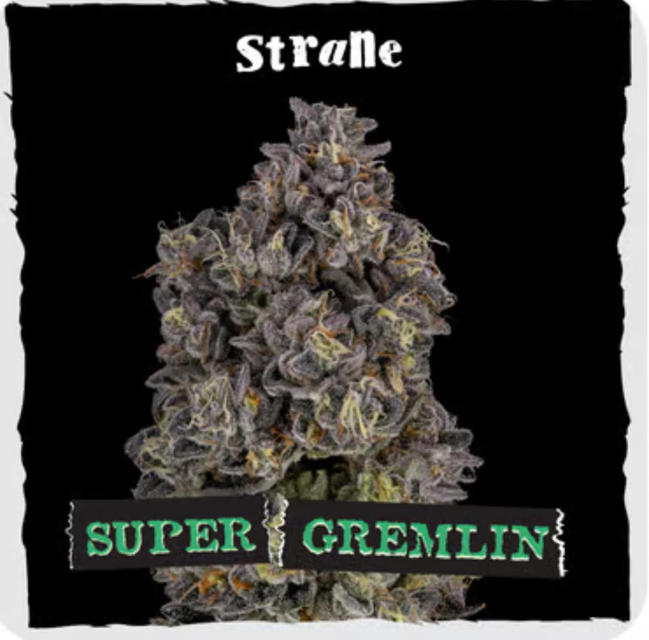 Photograph of product: Super Gremlin Oui'd Flower | 14g | Strane