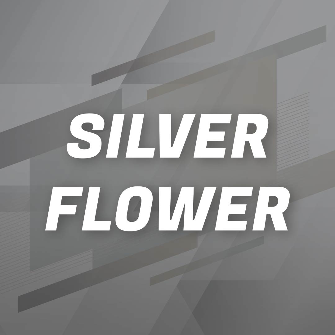 Photograph of product: Silver Shelf - White Widow (H) - 28g