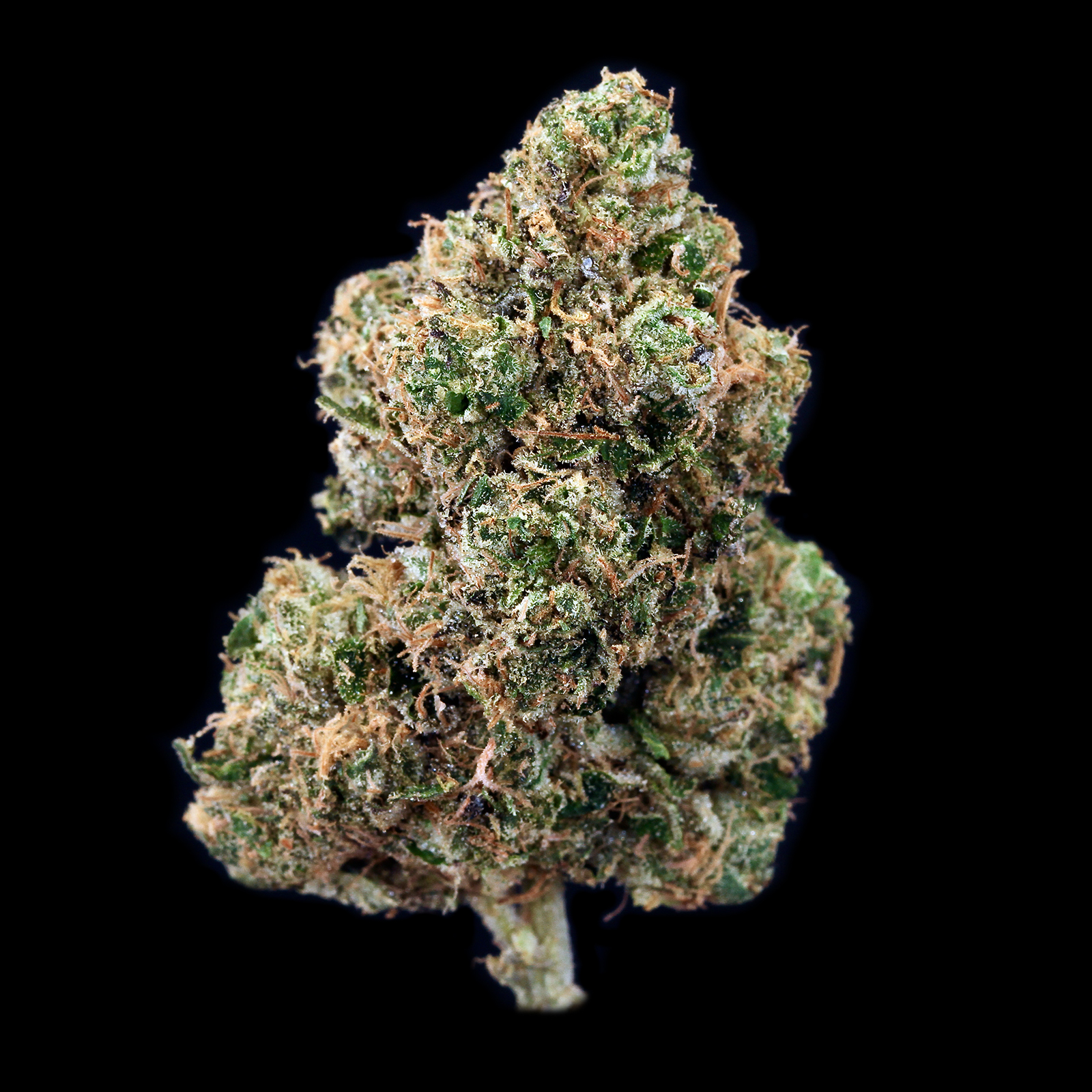 Photograph of product: GL Bud | Scroopy Noopers - 28g