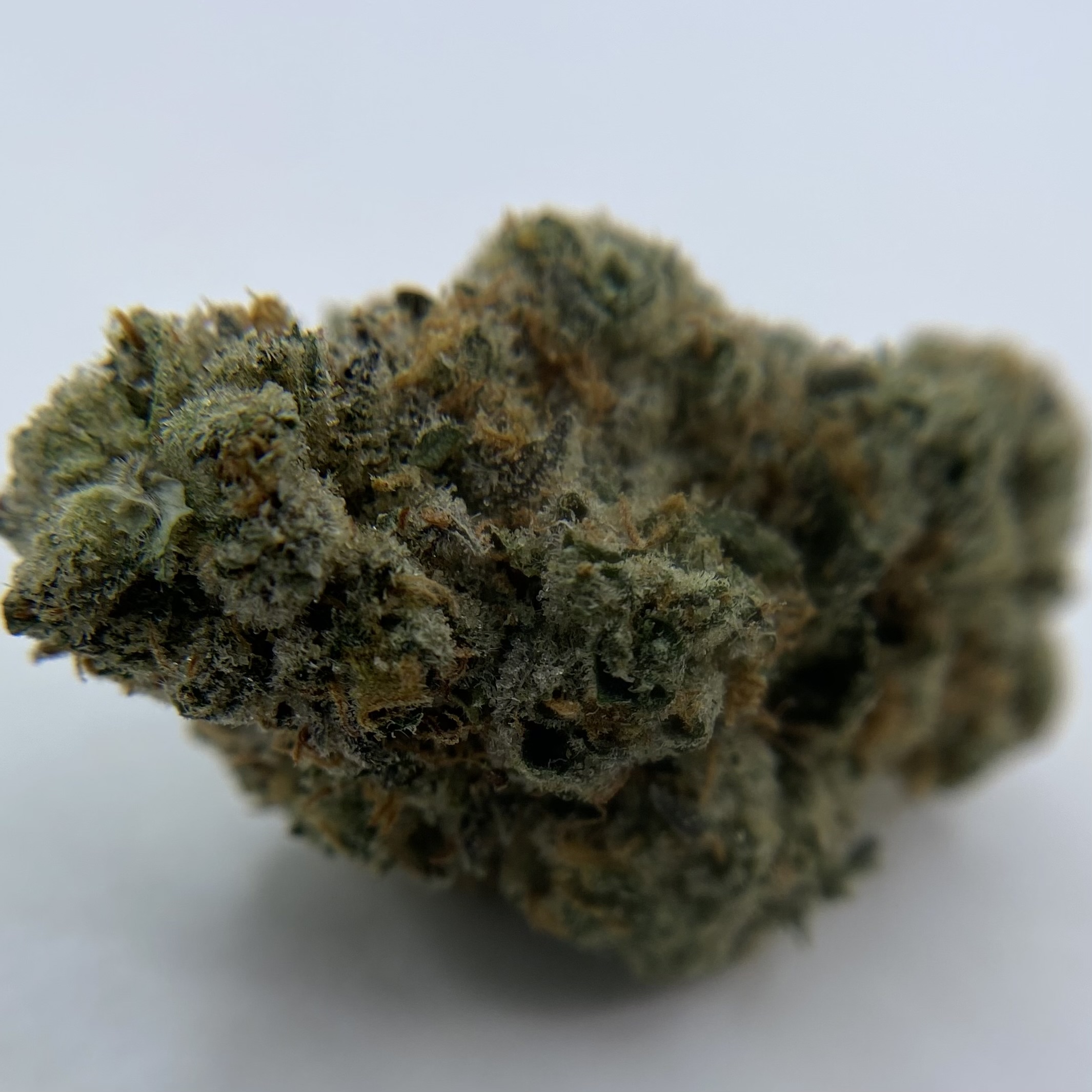 Photograph of product: INDICO: Mandarin Cakes Buds - 28g