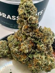 Photograph of product: GR | Biscotti Cake "Small" Buds - 3.5g
