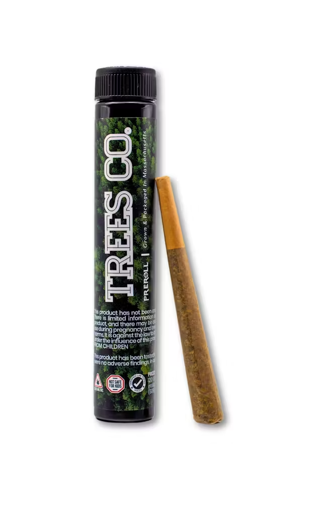 Photograph of product: PRJ Single | Melonade Gibson