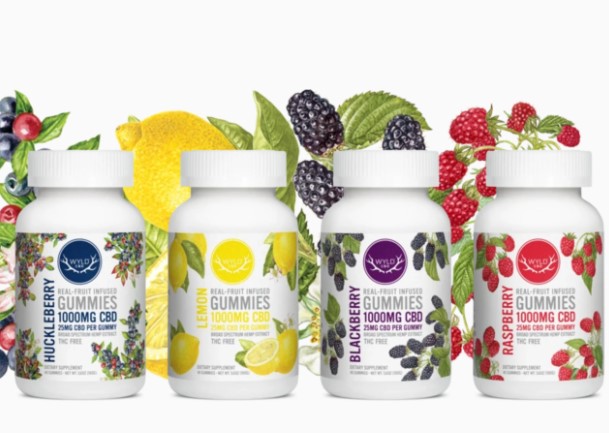 Photograph of product: Hemp Gummies | Elderberry | 5:1 (CBD:CBN) | 40 x 25mg
