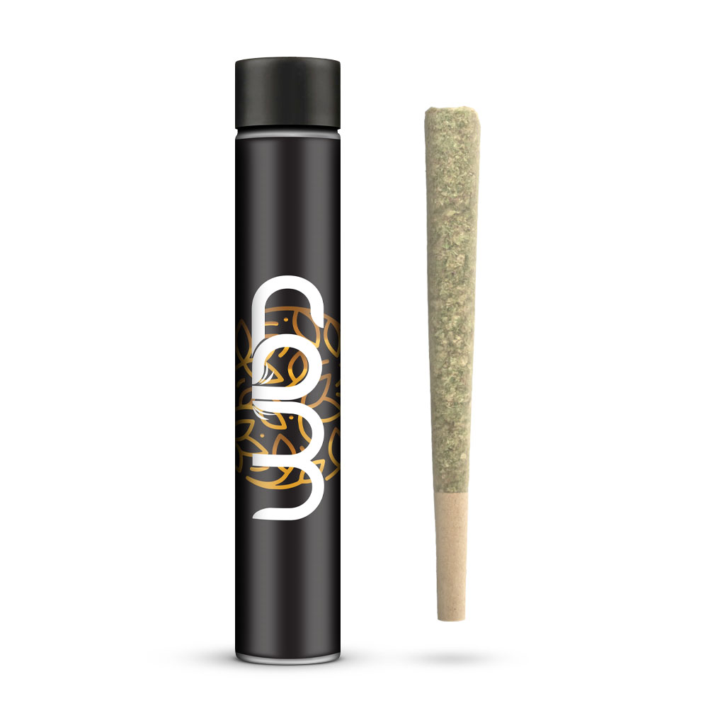 Photograph of Product: CAM | Lemon Cherry Gelato | Preroll