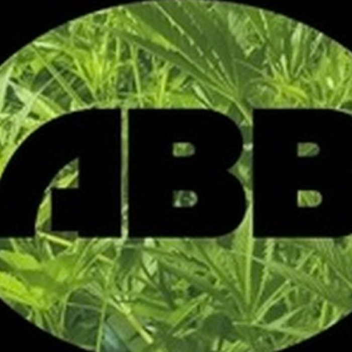 Photograph of product: Grease Monkey - Loose Trim 14g