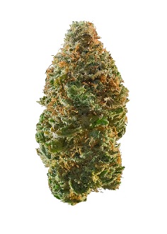 Photograph of product: Greenway | Garlic Cocktail (I-D) - 3.5g
