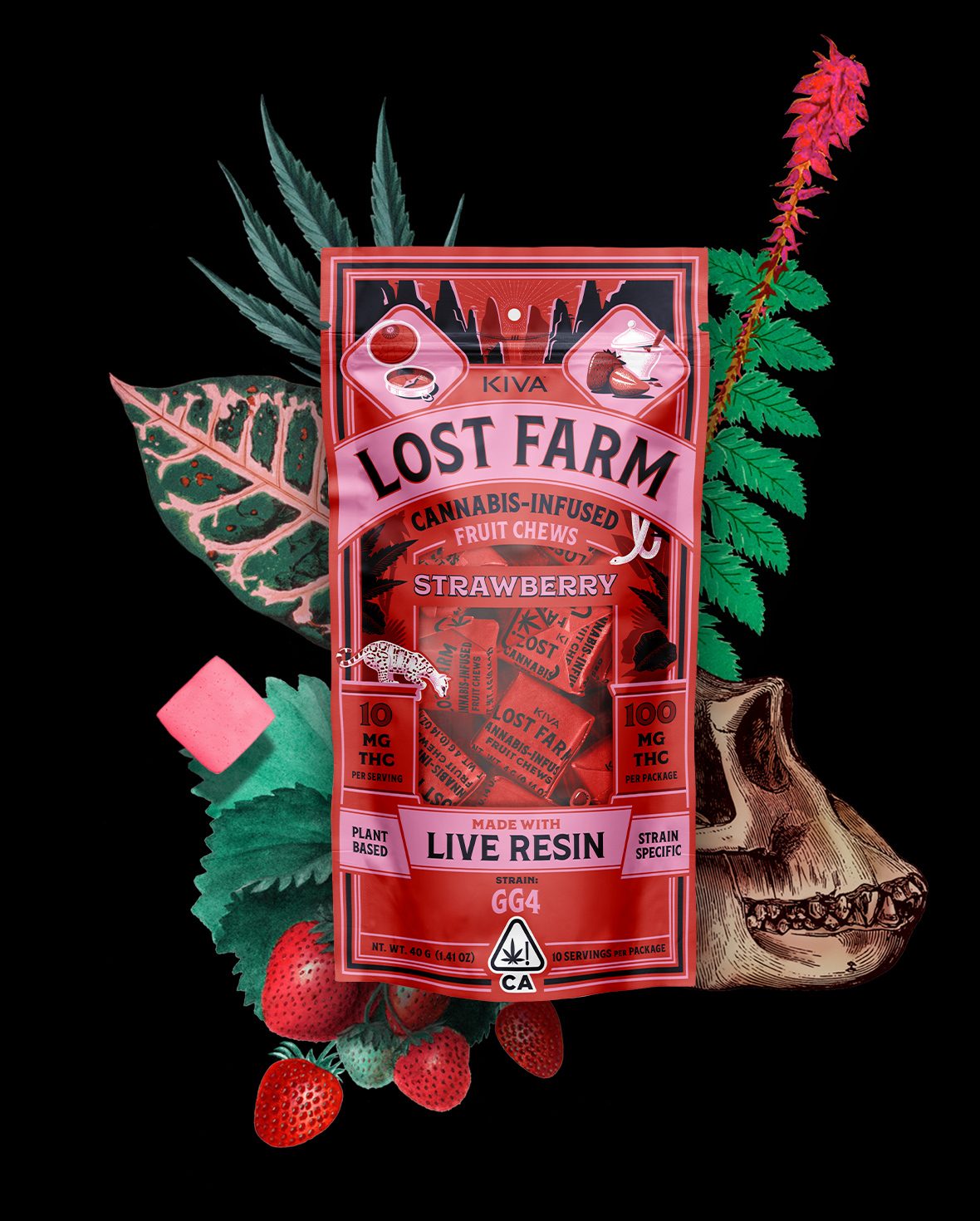Photograph of product: Fruit Chews | Lost Farm | Strawberry 10pk.