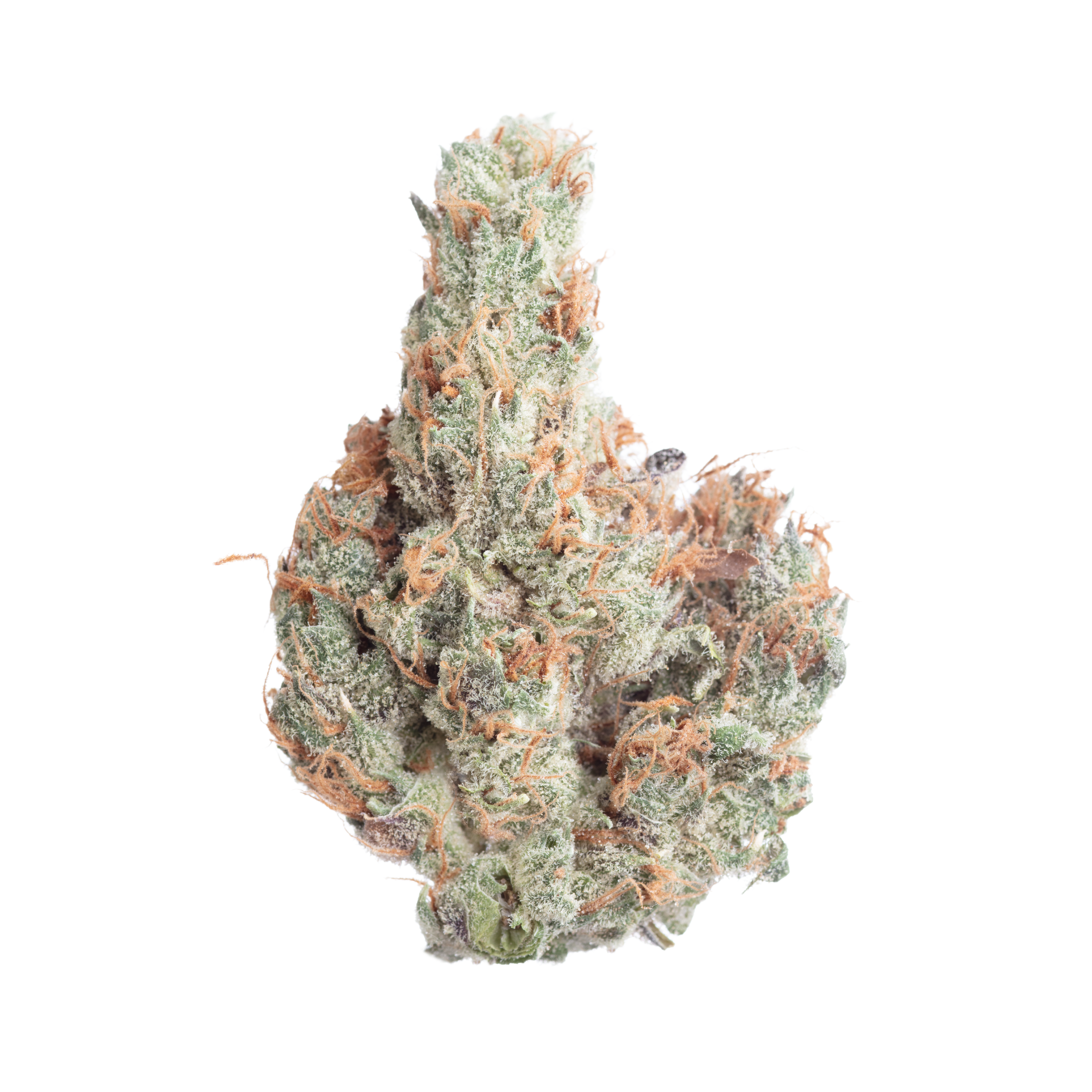 Photograph of product: Moroccan Peaches | Crooked Jaw - 3.5g