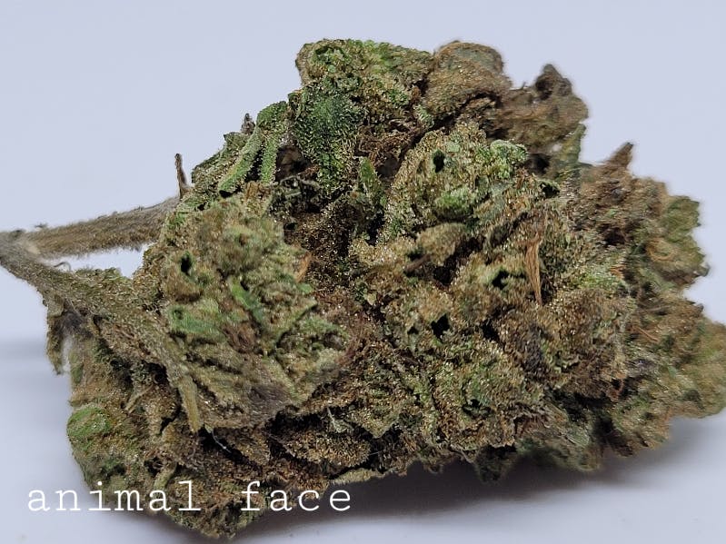 Photograph of product: Animal Face 28% by Goodlyfe