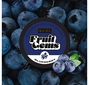 Photograph of product: Gummies - Blueberry Fruit Gems - 20 Pcs - 100mg