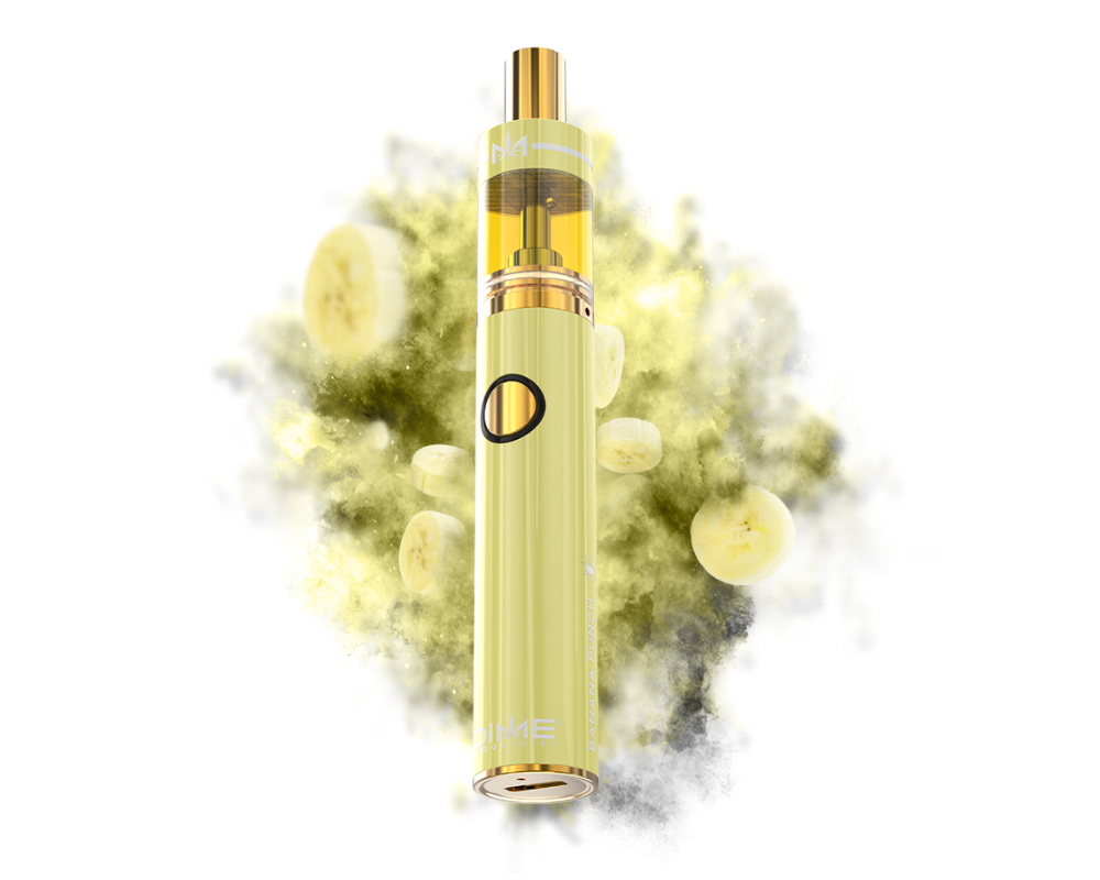 Photograph of product: Banana Punch | Disposable Vape | 2g