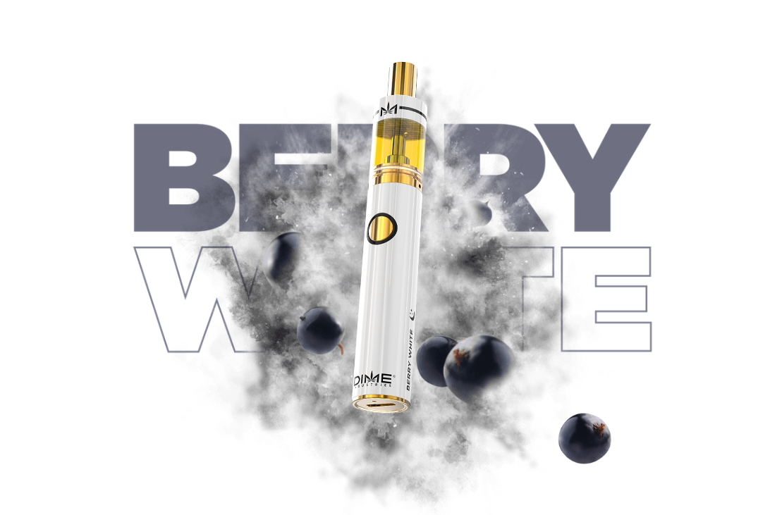 Photograph of product: DIME - Disposable - (I) Berry White 2g