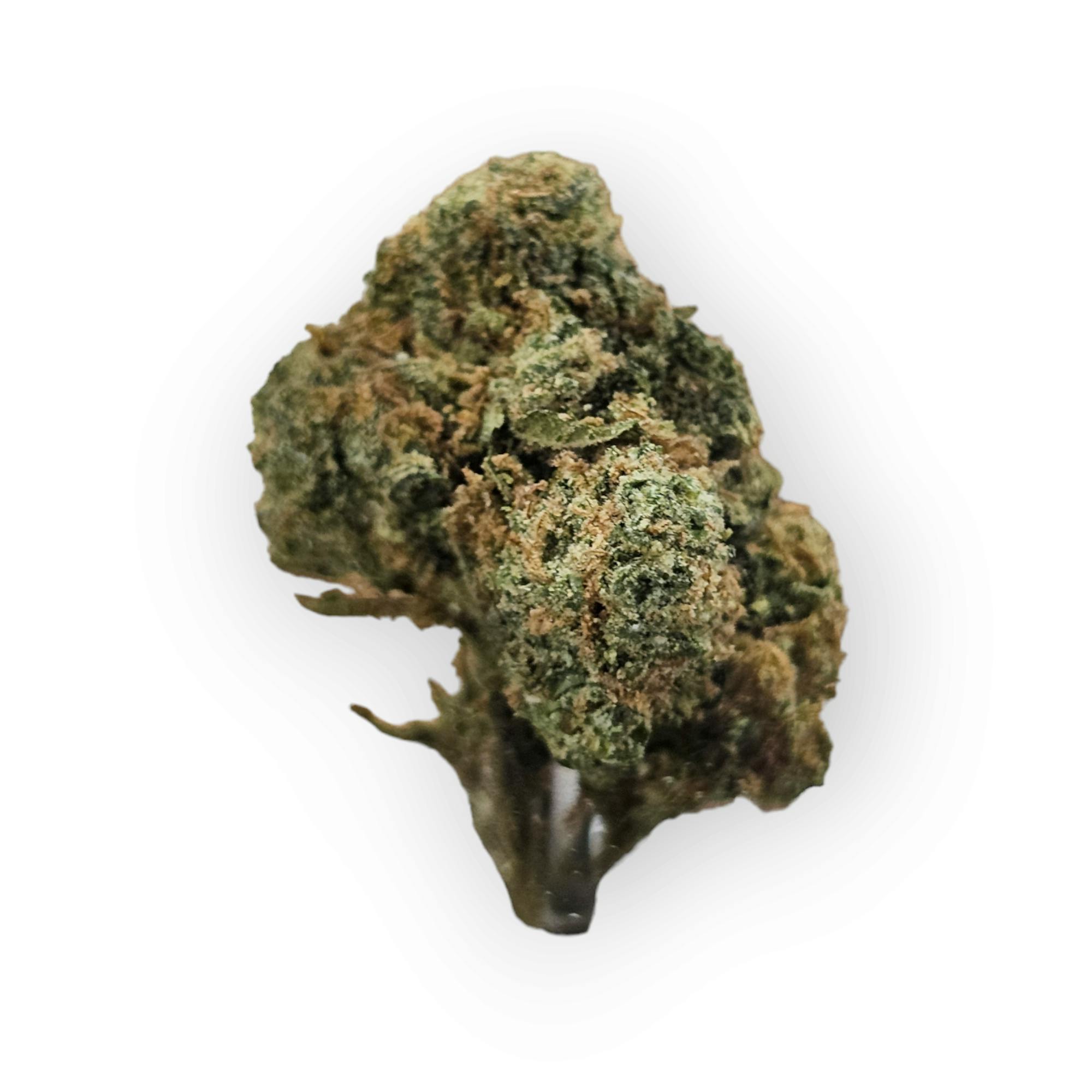 Photograph of product: HT - Mazar (1/8) - Oui'd