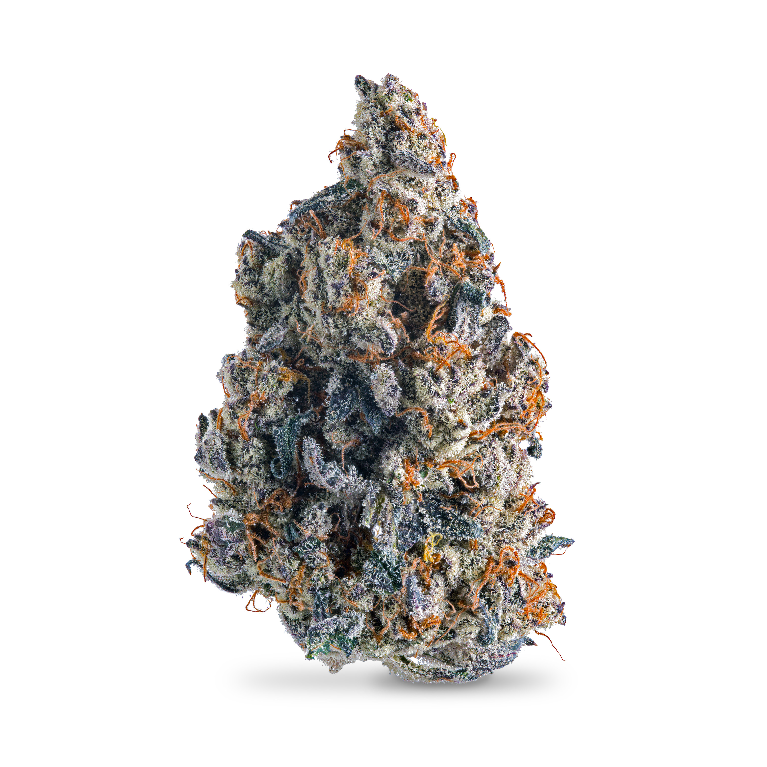 Photograph of product: Tropical Infusion - 3.5g