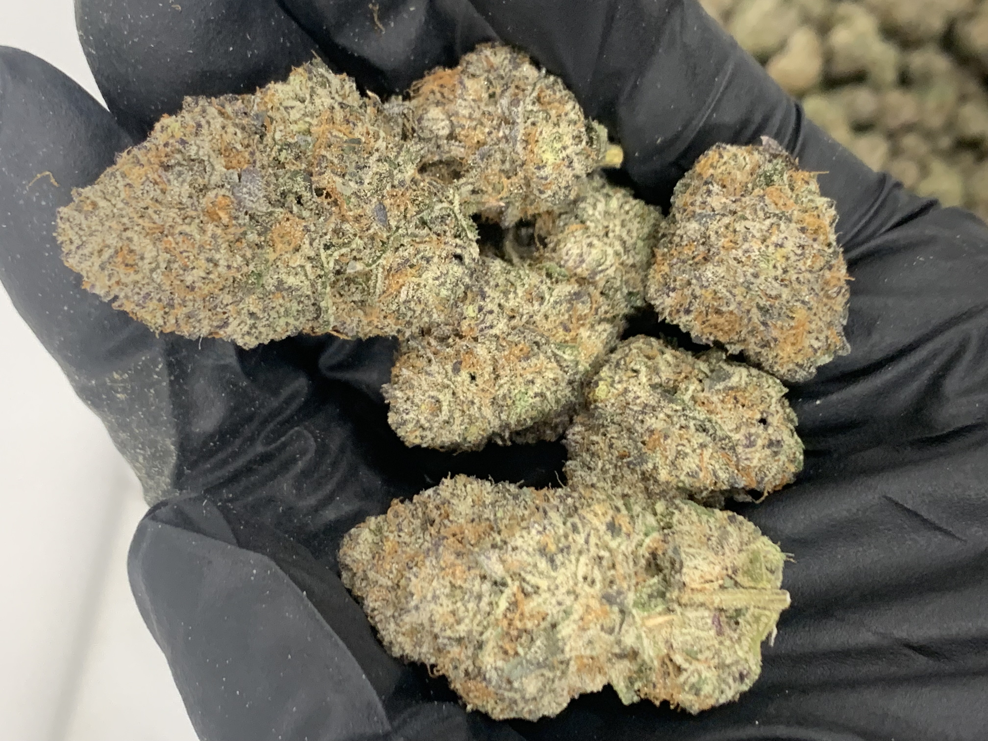 Photograph of product: Flower (Deli-Style) l Jokerz | Oui'd l New Lyfe - 28g