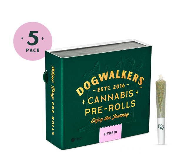 Photograph of product: *STAY* - 95 Cookies - Hybrid - [5x0.3g] | Pre-Roll 5pk