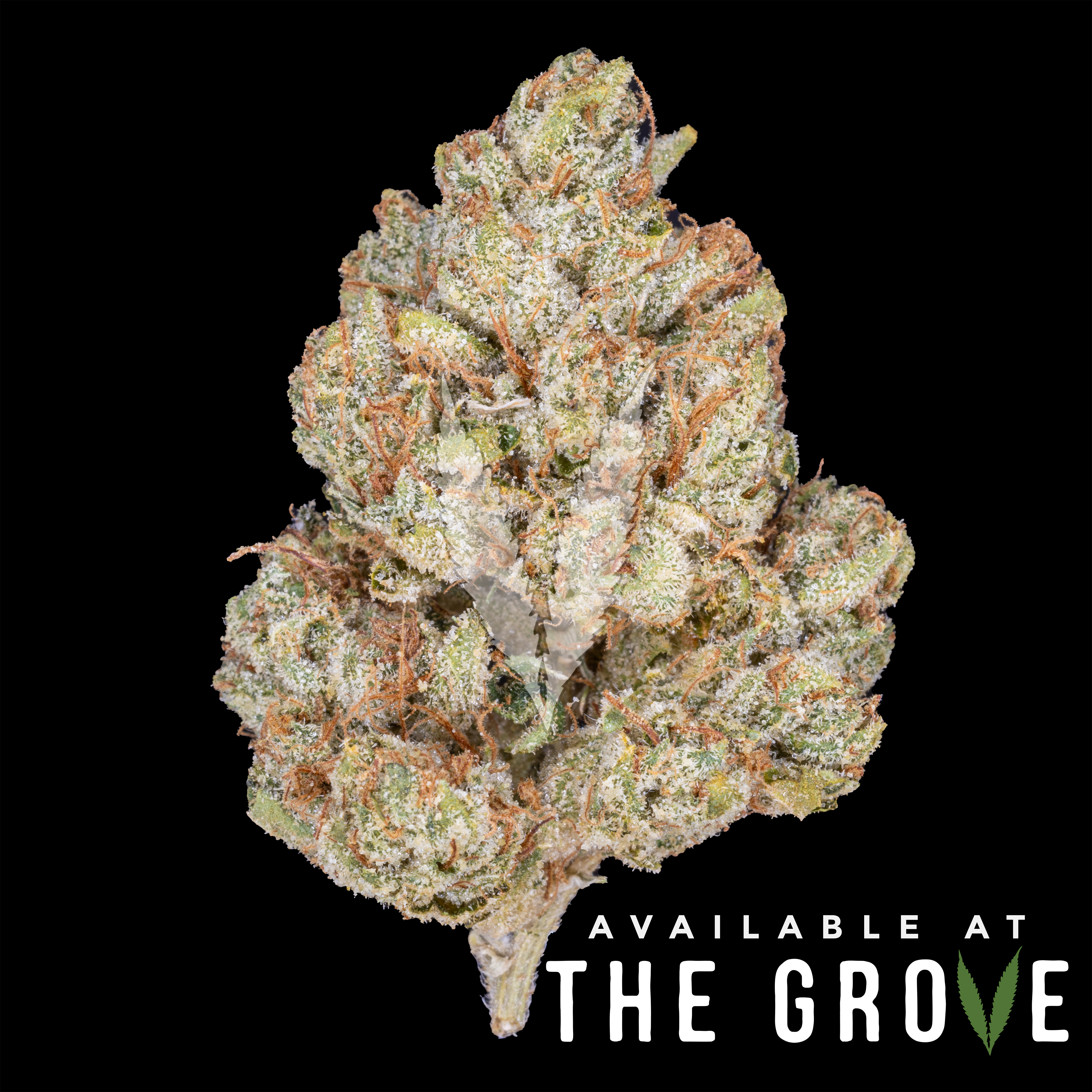 Photograph of product: BLEM | Unruly OG 1/8ths - 3.5g