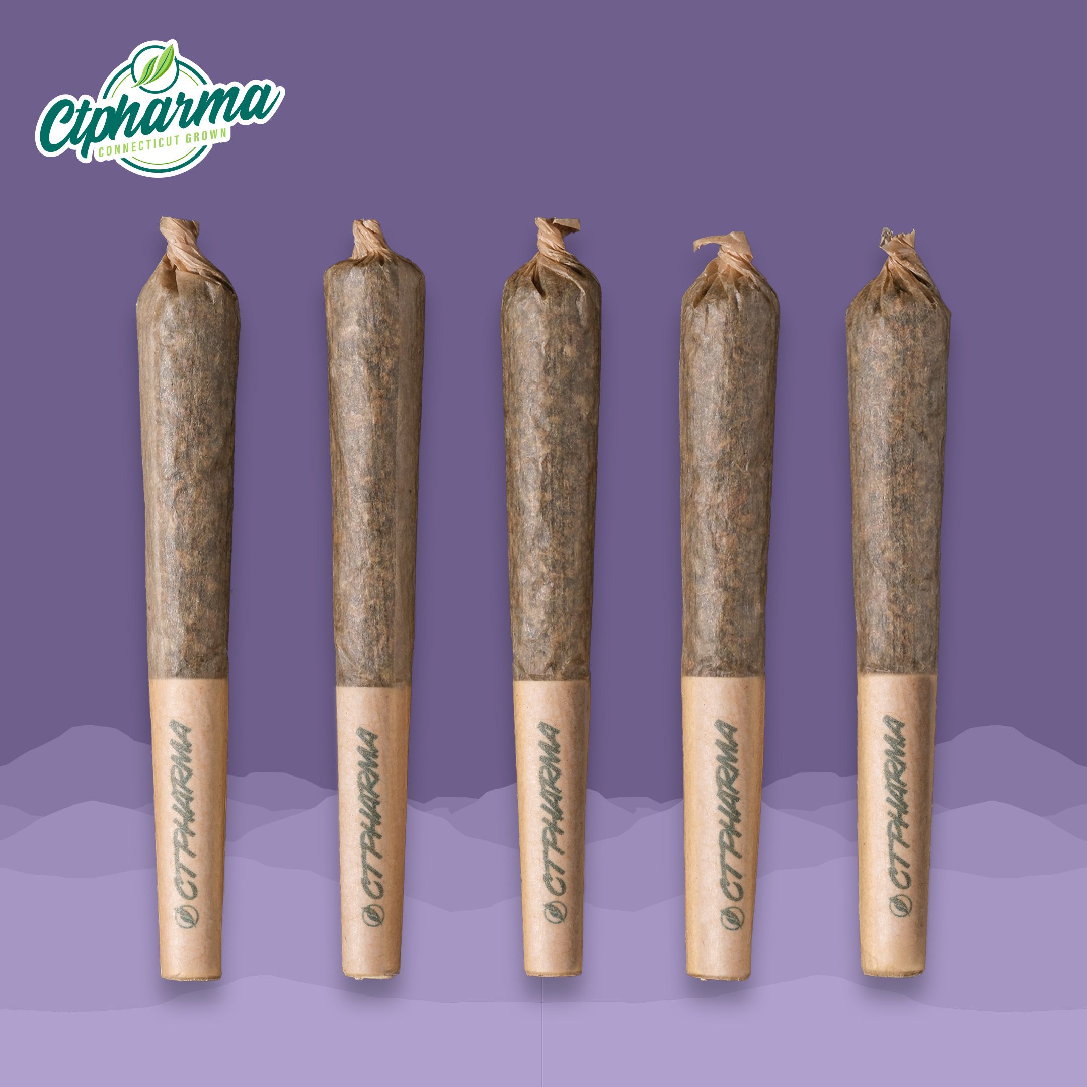 Photograph of product: Scout Breath Shorties 2g/5pk (C0020026105)