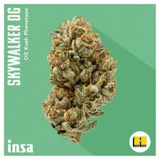 Photograph of product: INSA | SKYWALKER OG (H) - 3.5g