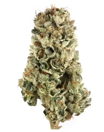 Photograph of product: Tire Fire Flower - 3.5g