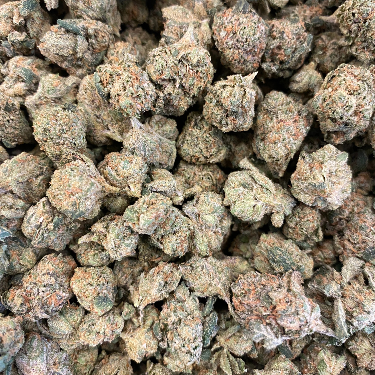 Photograph of product: Coastal Healing Bulldozer 3.5g