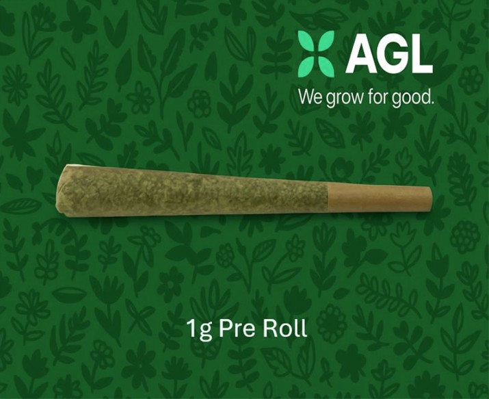 Photograph of product: Pre-Roll | Jack Herer 1g | 00863