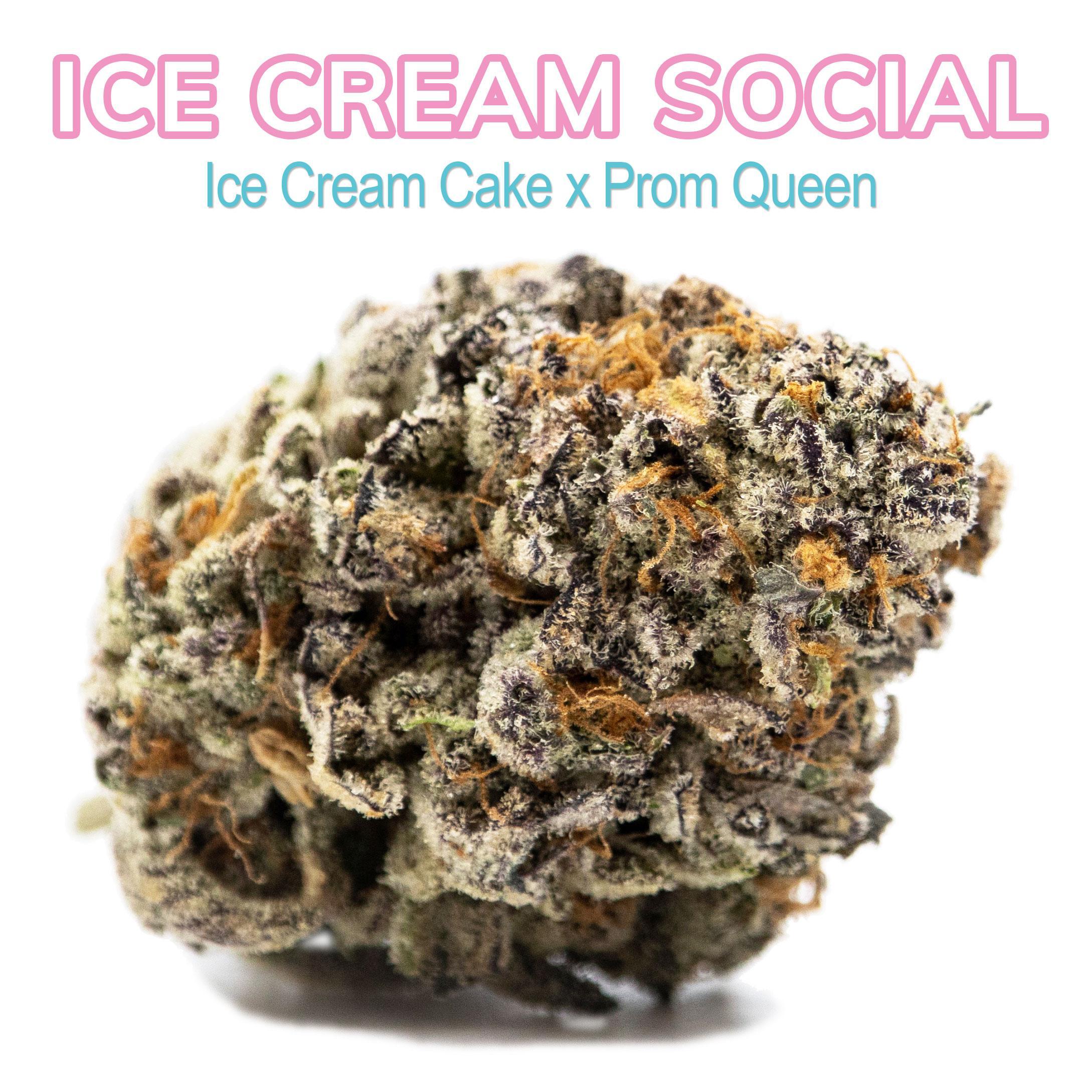 Photograph of product: Ice Cream Social (3.5g)
