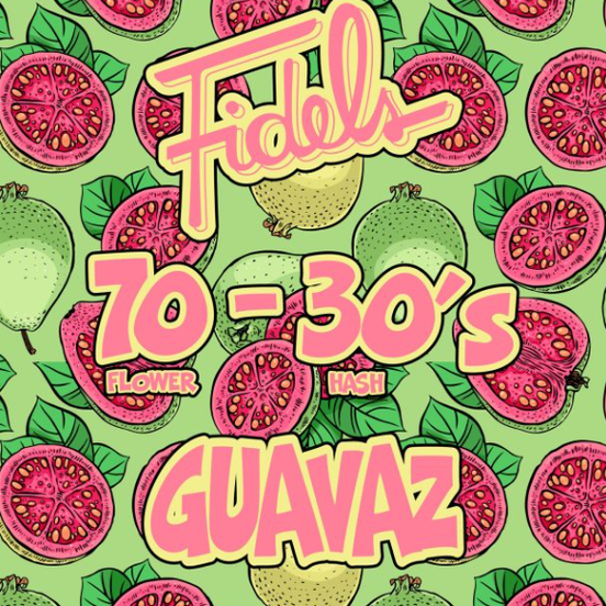Photograph of product: Fidels - Guavaz - 1g - Infused Preroll - 