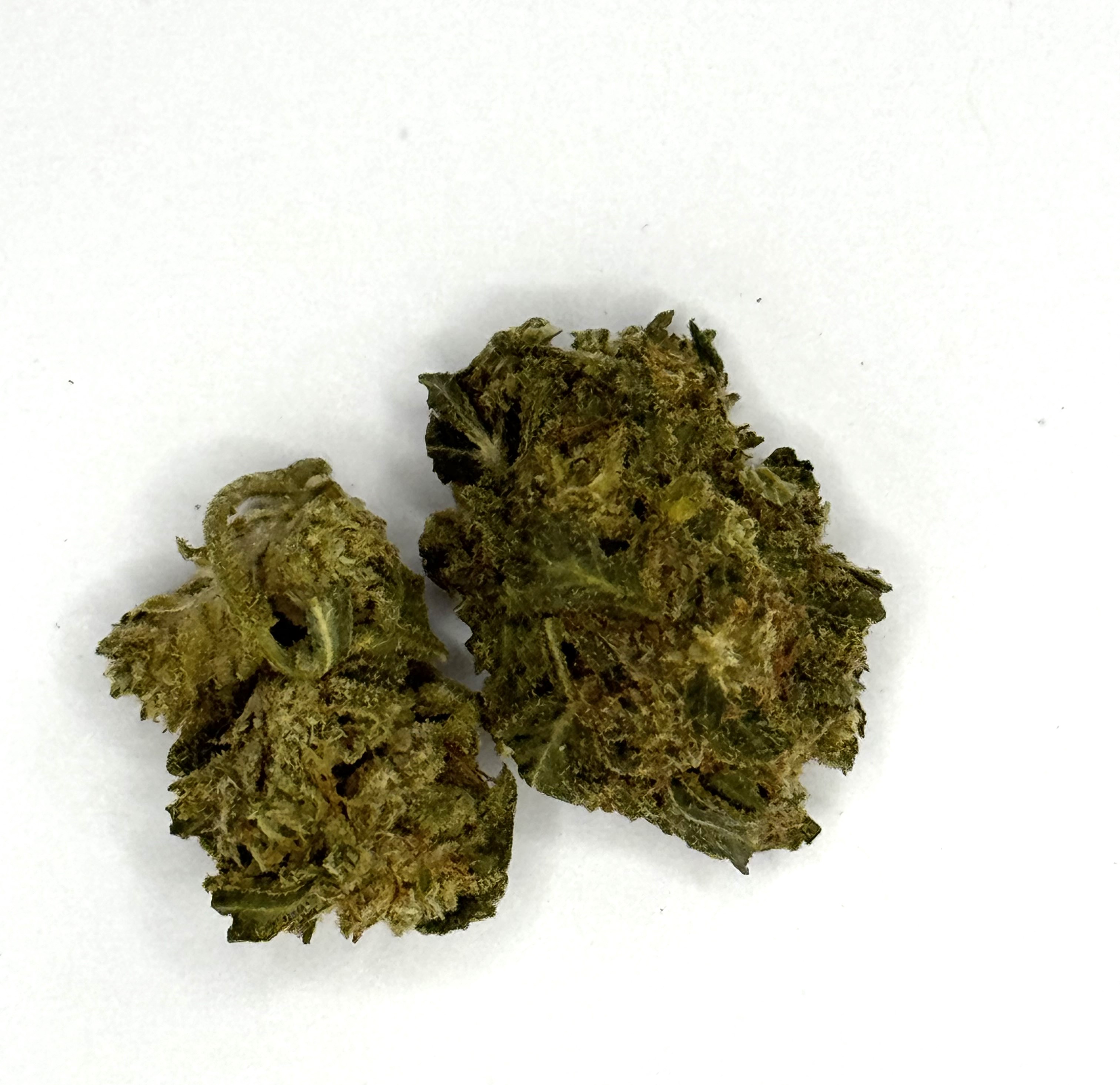 Photograph of product: Chocolope - 3.5g
