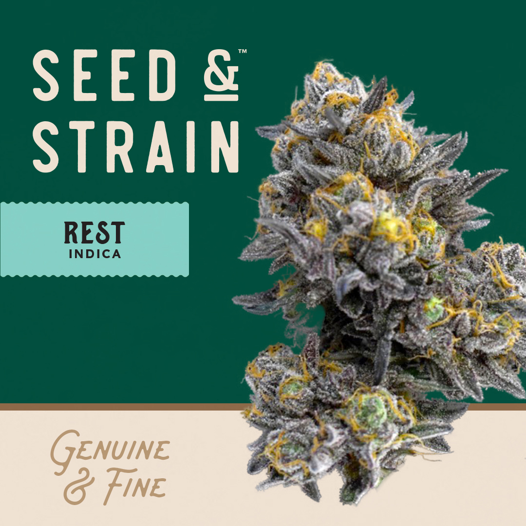Photograph of product: Alien Breath - 14.15g