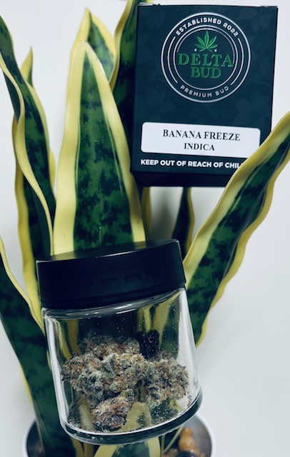 Photograph of product: Delta Bud | 3.5 | Banana Freeze - 3.5g