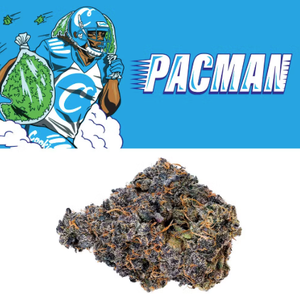 Photograph of product: Cookies Flower 14g- Pacman