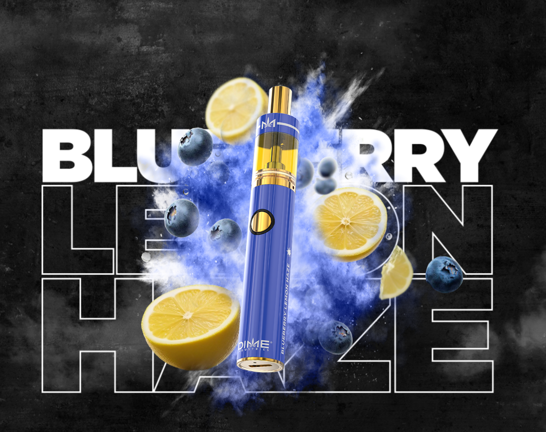 Photograph of product: Blueberry Lemon Haze | Disposable | 2g