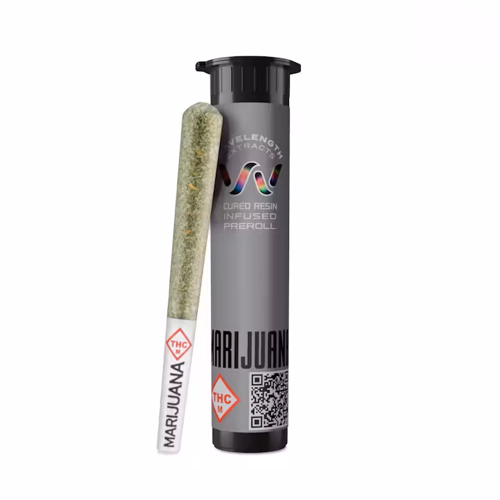Photograph of product: Gruntz | 1g Cured Resin Infused Preroll