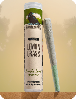 Photograph of product: Ravens View Genetics | Preroll | Lemongrass