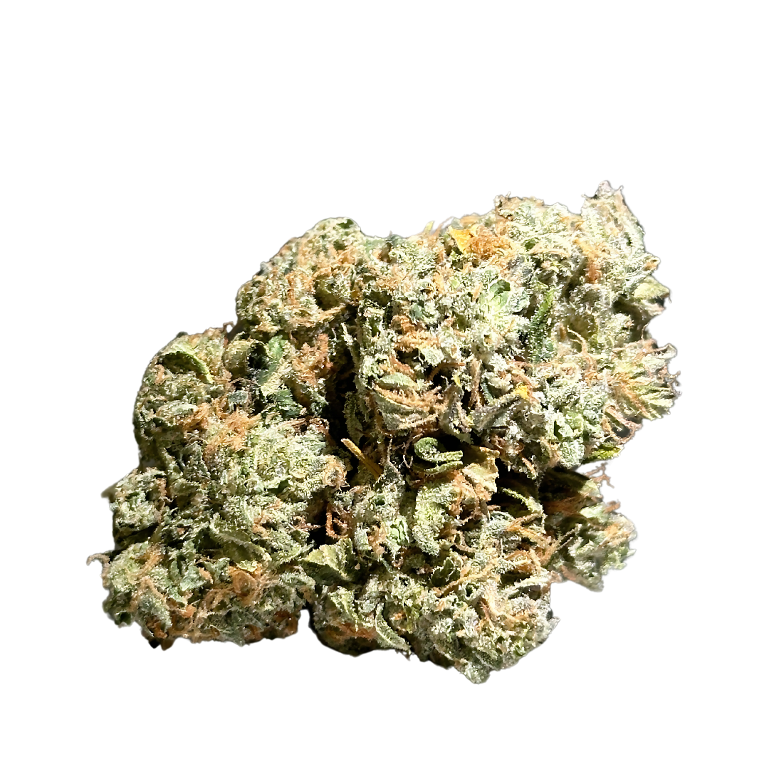 Photograph of product: East Coast Irene | Premium Buds - 14g