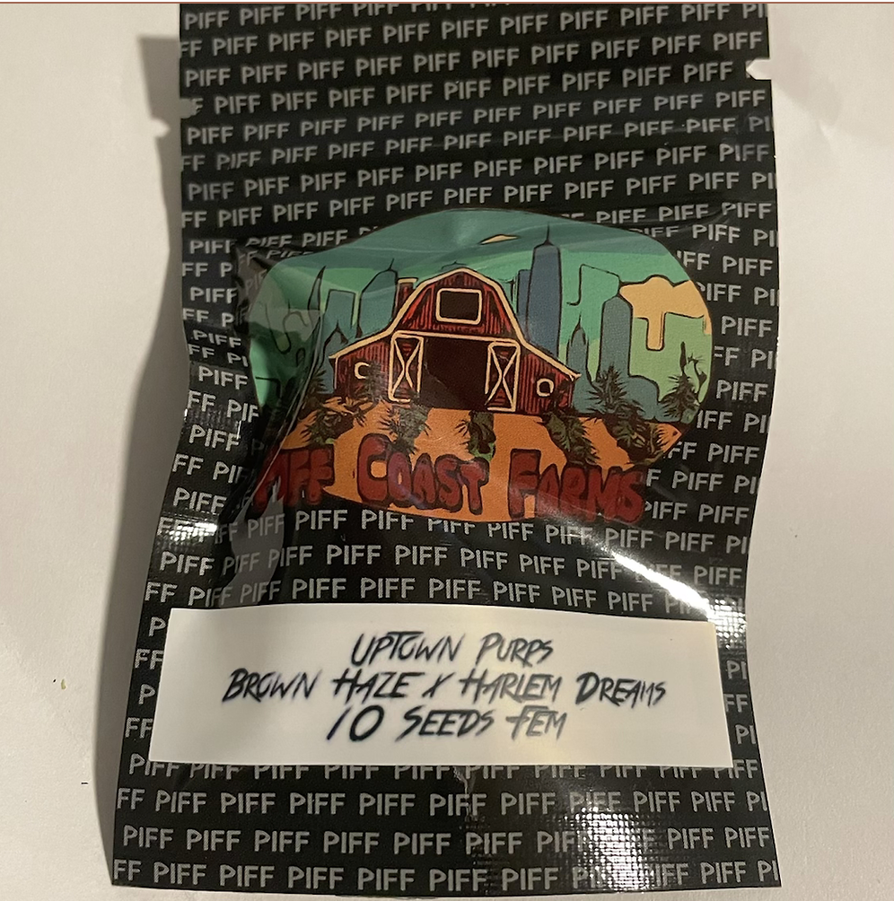 Photograph of product: Piff Coast Farms Seeds | Uptown Purps
