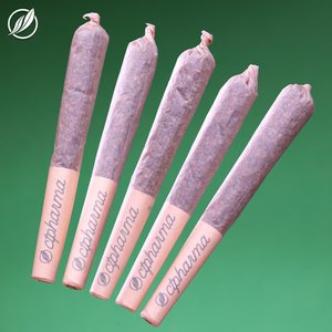 Photograph of product: Full Tank Shorites Pre Roll 5 Pack T24.40 (2-25976)