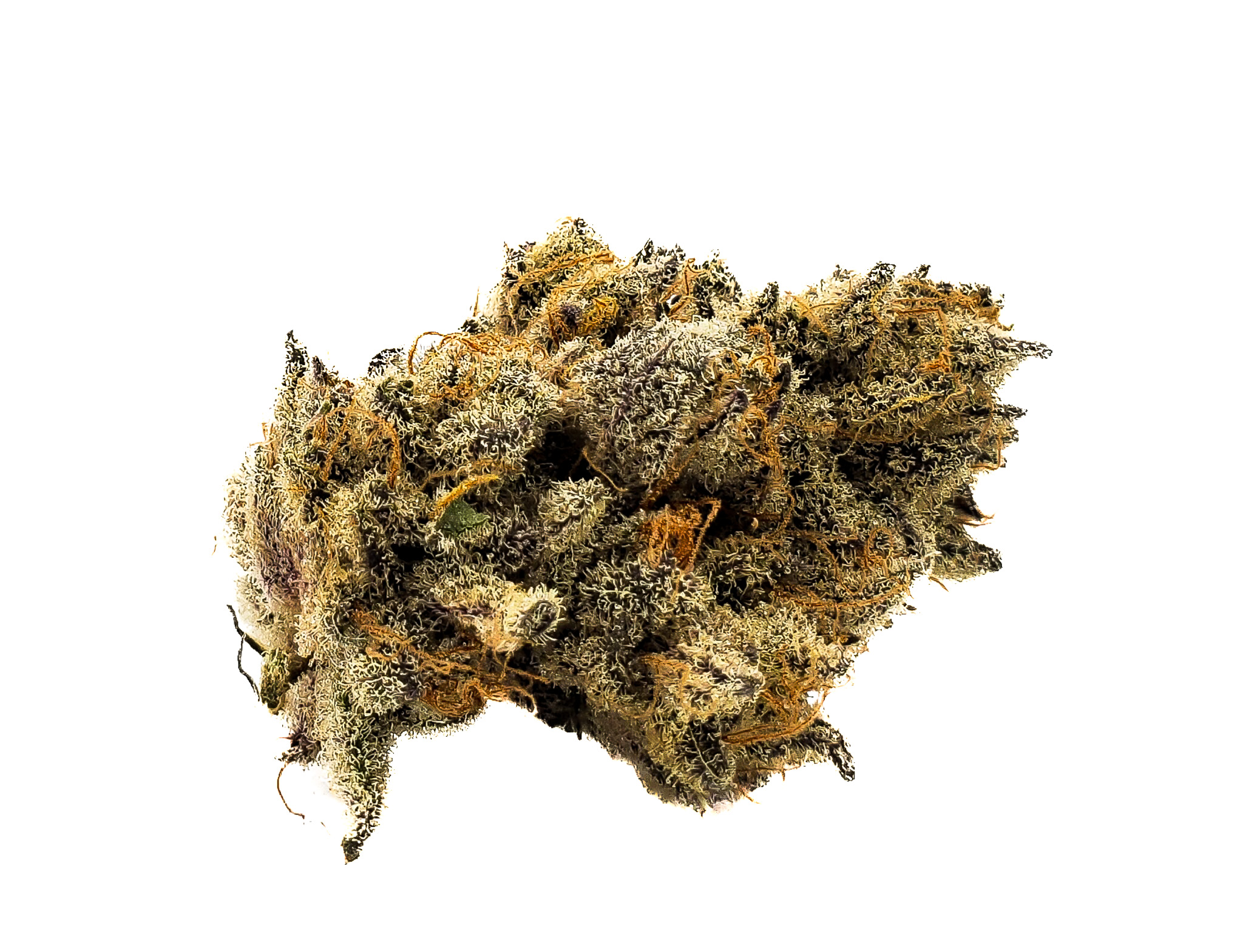 Photograph of product: Focus North | Honeymoon Crasher - 28g