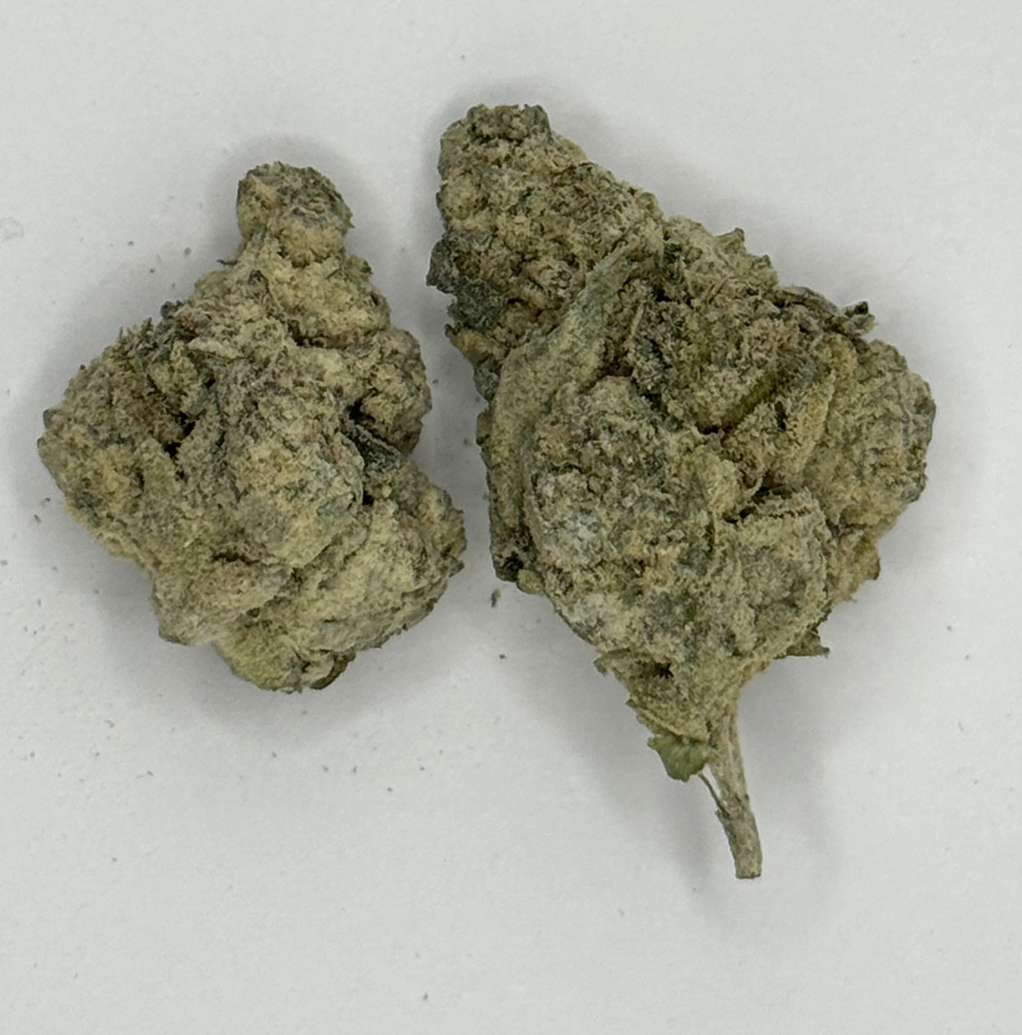 Photograph of product: Purple Zlushy | 3.5G Infused Flower