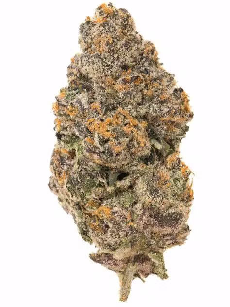 Photograph of product: Biscotti Buds - 28g