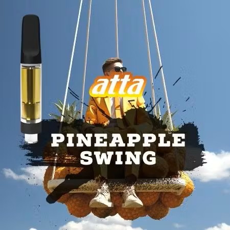 Photograph of product: ATTA - PINEAPPLE SWING 1G Oui'd